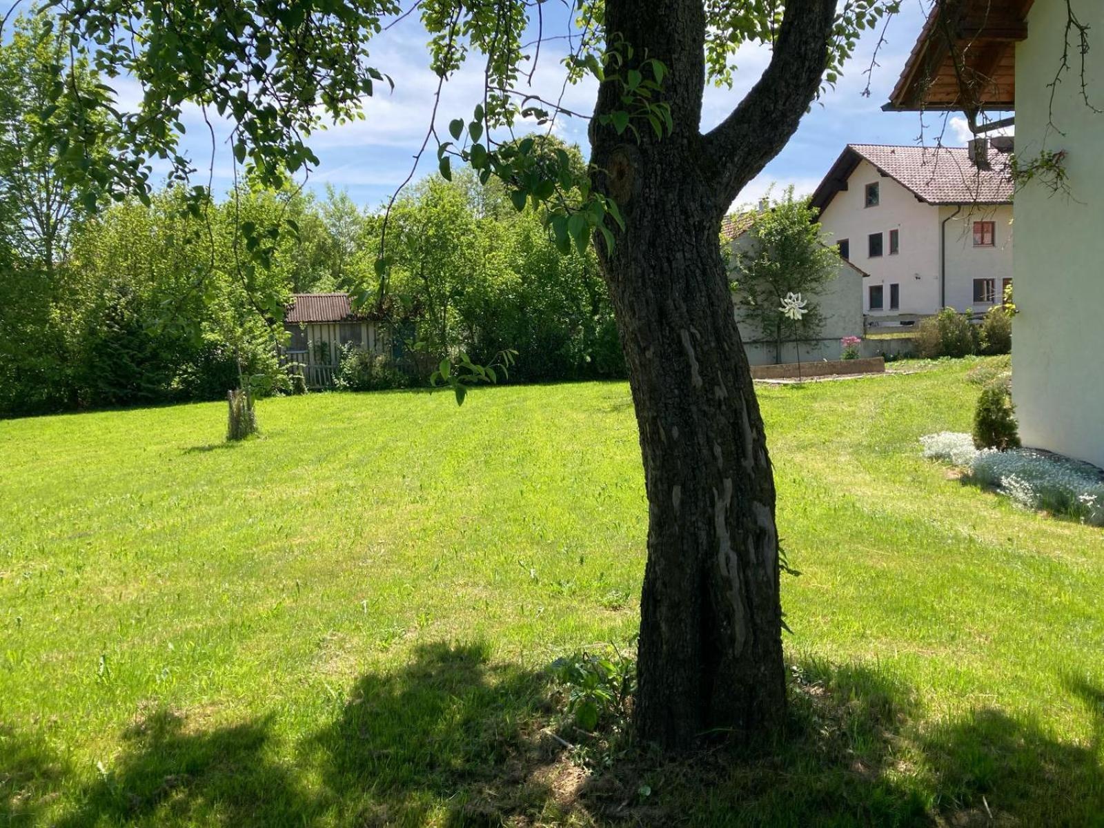 Ruhige Ferienwohnung Inklusive Garten Souterrain - Neu Renoviert Lachen المظهر الخارجي الصورة